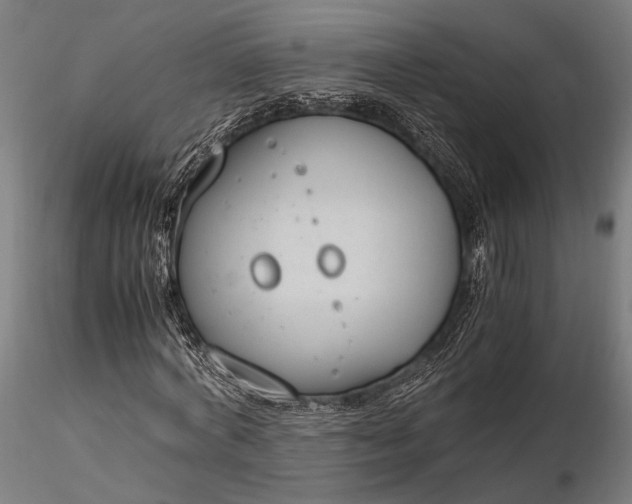 X0000116290772200912141311