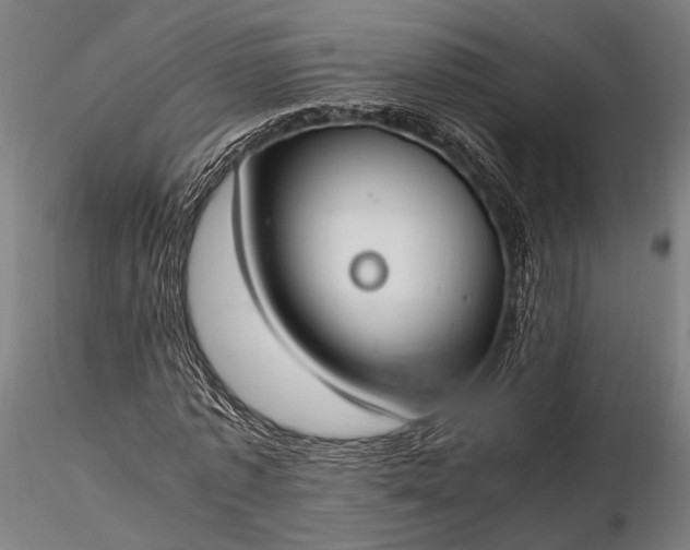 X0000116290773200912141311