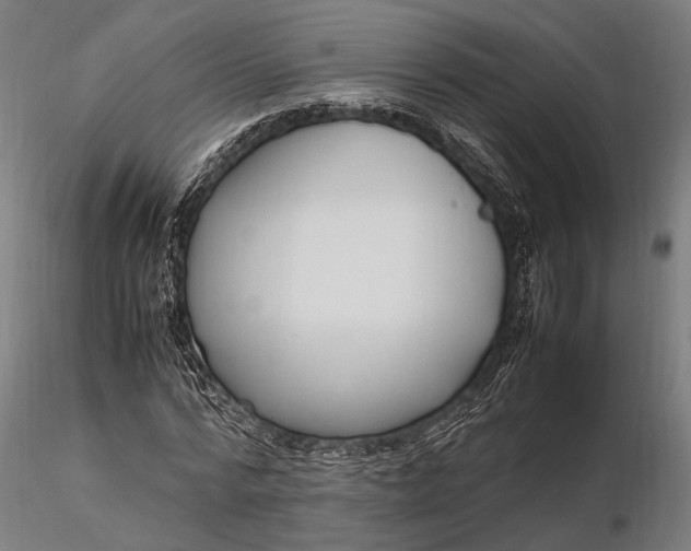 X0000116290776200912141311