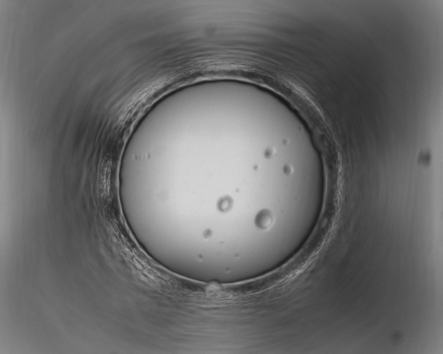 X0000116290777200912141311