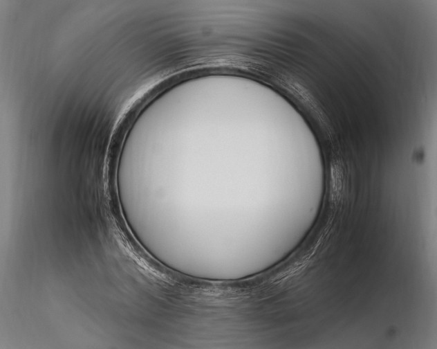 X0000116290780200912141311