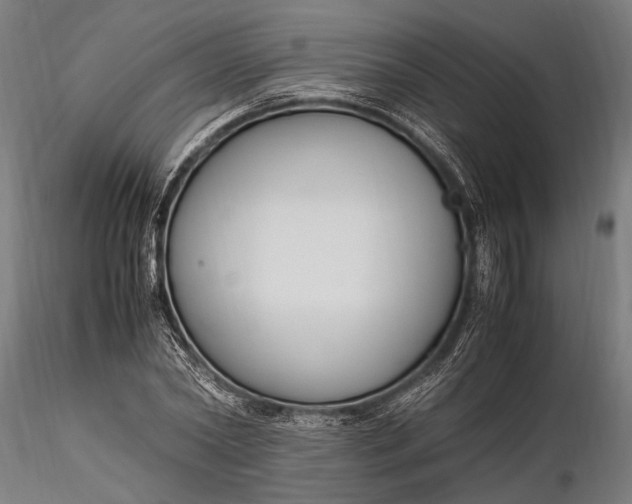 X0000116290782200912141311