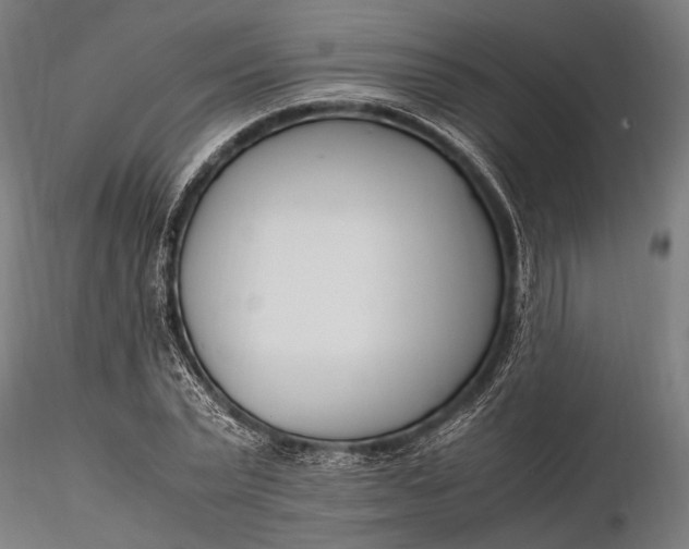 X0000116290783200912141311