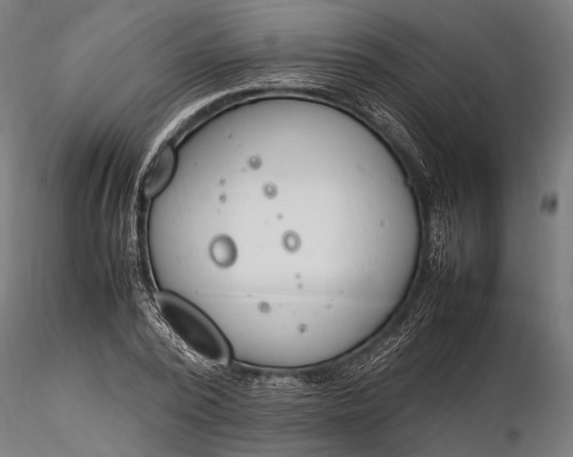 X0000116290784200912141311