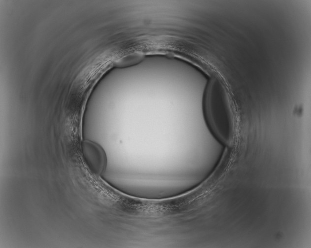 X0000116290785200912141310