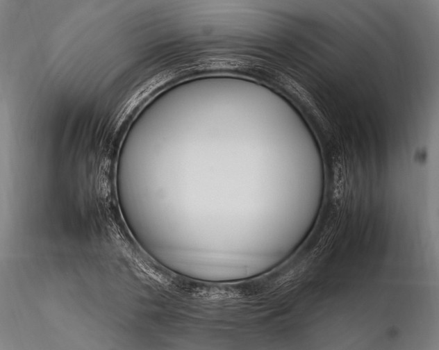 X0000116290786200912141310