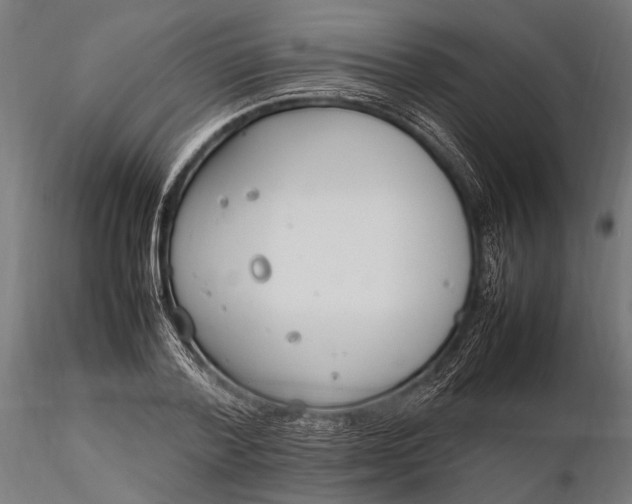 X0000116290788200912141310