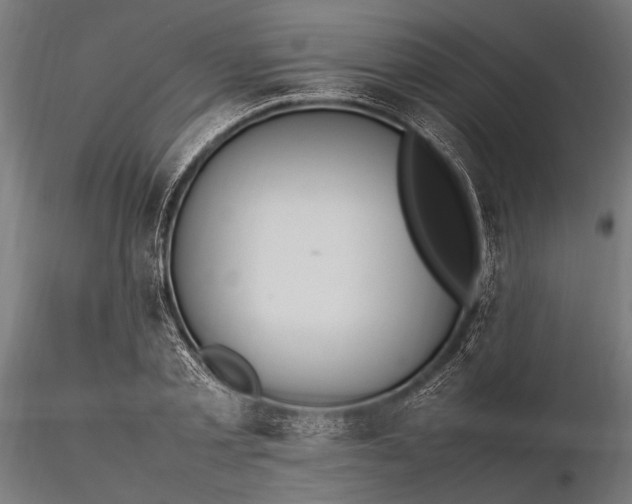 X0000116290789200912141310