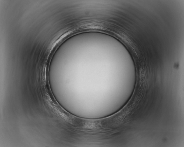 X0000116290790200912141310