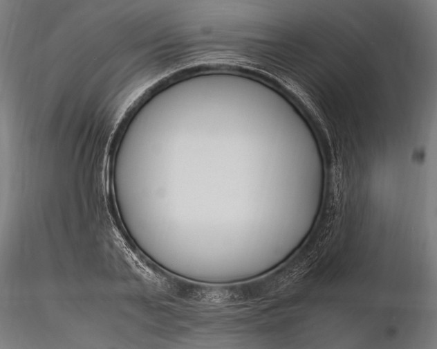 X0000116290791200912141310