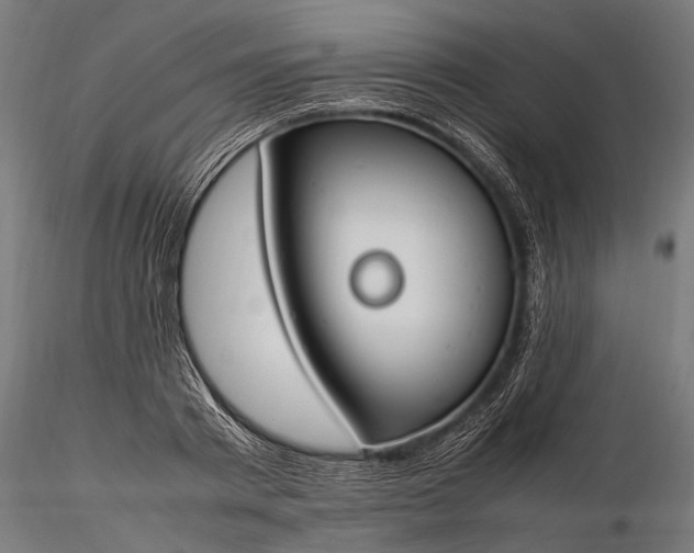 X0000116290793200912141310