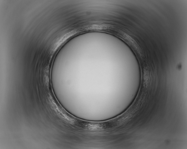 X0000116290794200912141310