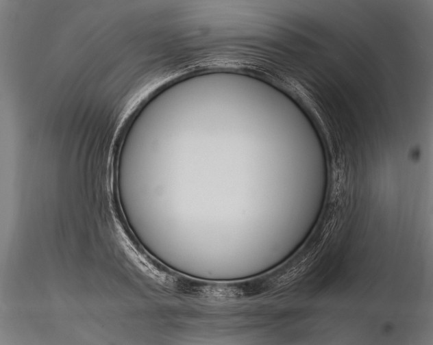 X0000116290795200912141310