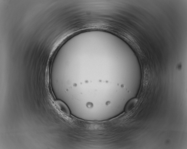 X0000116290796200912141310