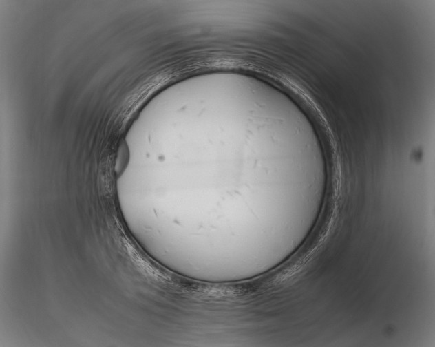 X0000116290801200912141310