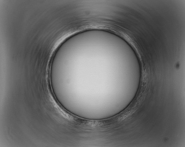 X0000116290803200912141310