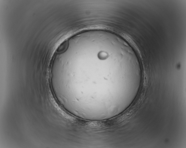 X0000116290805200912141310