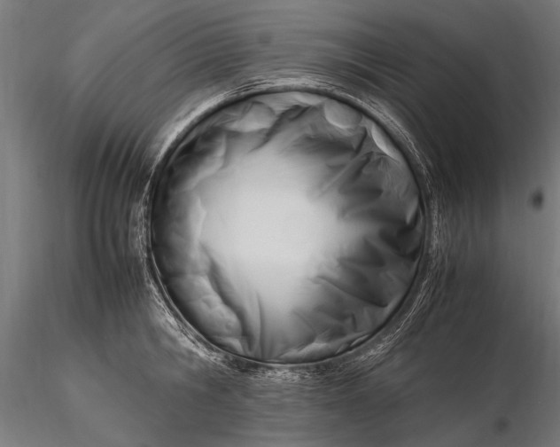 X0000116290806200912141310