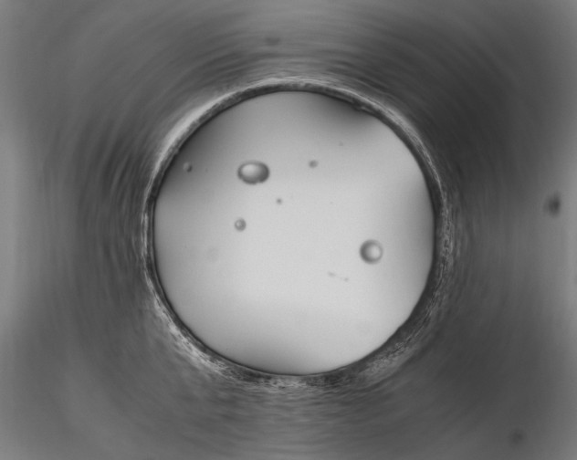 X0000116290807200912141310