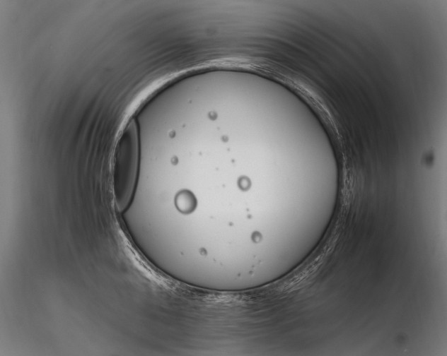 X0000116290808200912141310