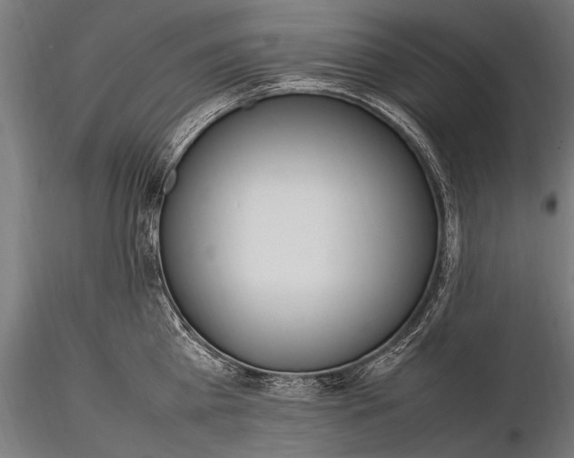 X0000116290809200912141310