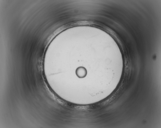 X0000116290810200912141310