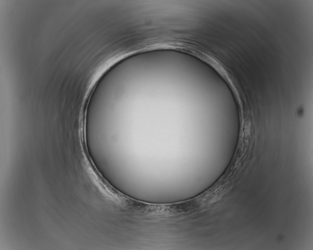 X0000116290811200912141310