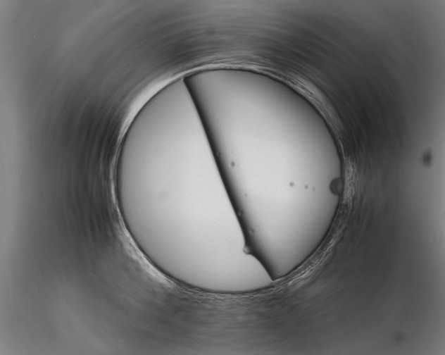 X0000116290812200912141310