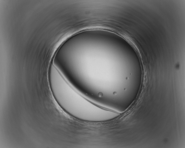 X0000116290813200912141310