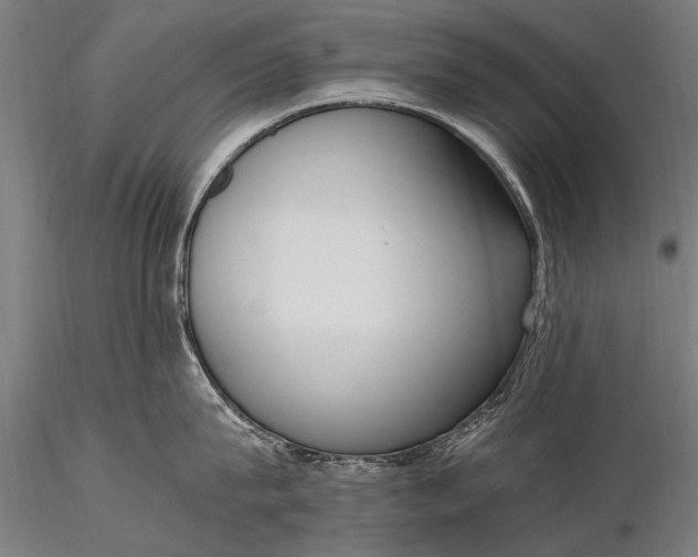 X0000116290815200912141310