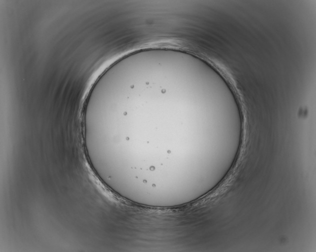 X0000116290816200912141310