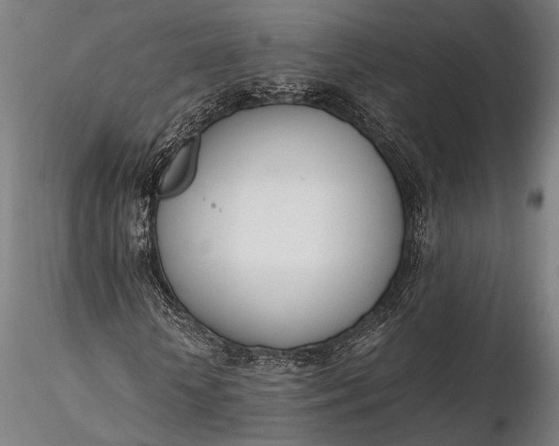 X0000116290818200912141309