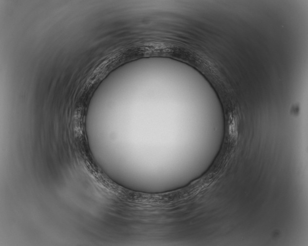 X0000116290819200912141309