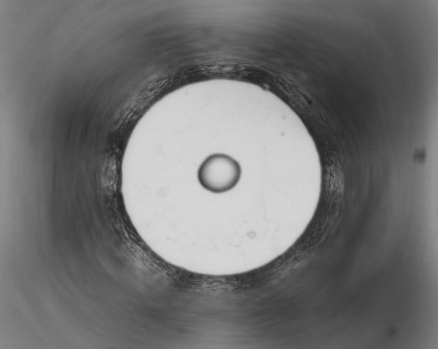 X0000116290820200912141309