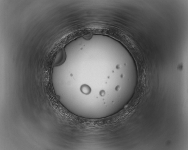 X0000116290821200912141309