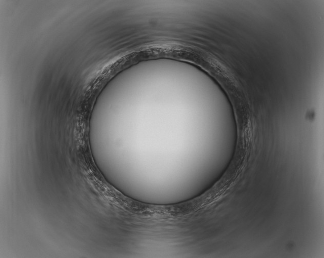 X0000116290822200912141309