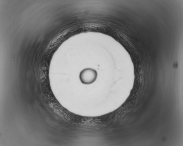 X0000116290824200912141309