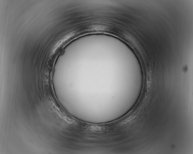 X0000116290827200912141309