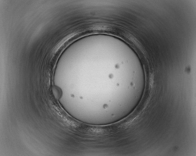 X0000116290829200912141309