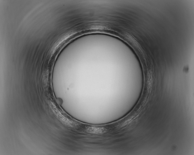 X0000116290831200912141309