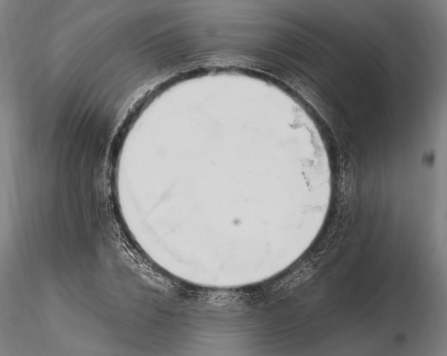 X0000116290832200912141309