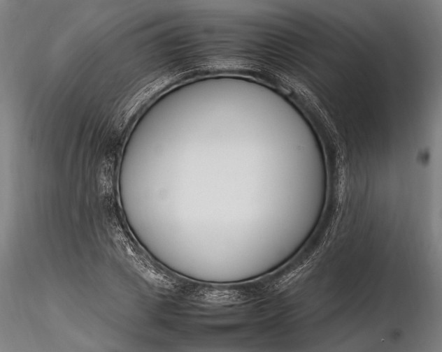 X0000116290833200912141309