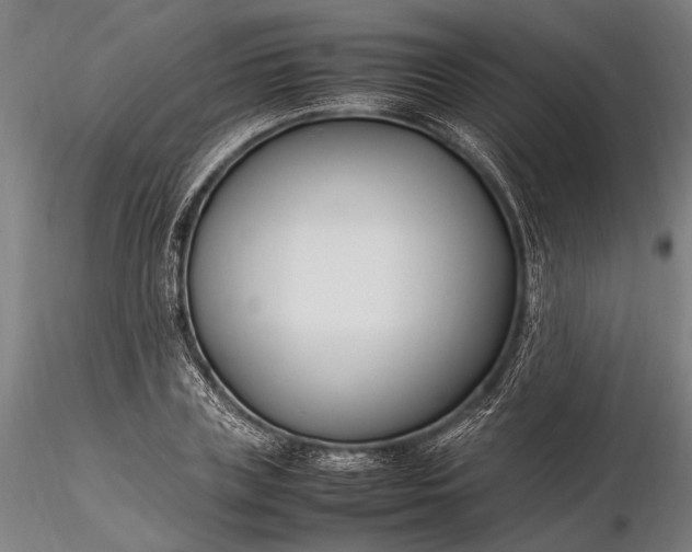 X0000116290835200912141309