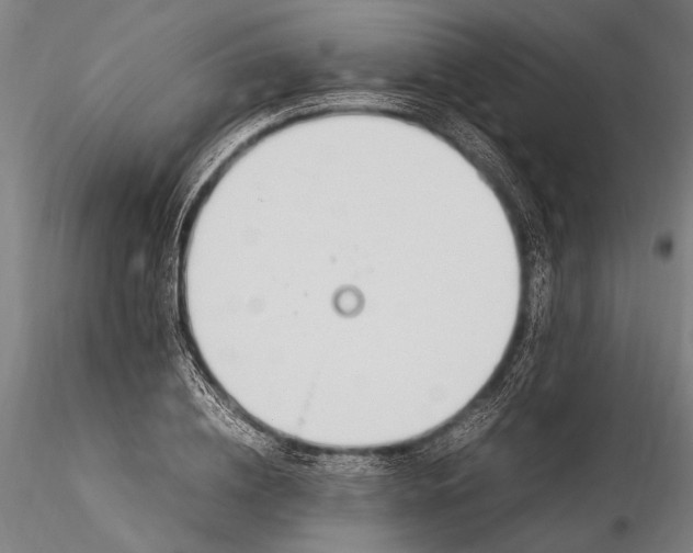 X0000116290836200912141310