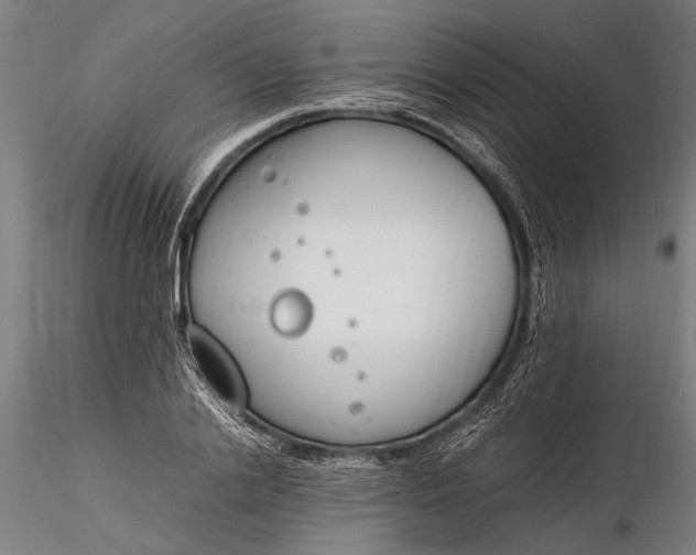 X0000116290838200912141310