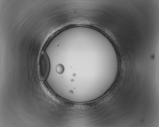 X0000116290840200912141310