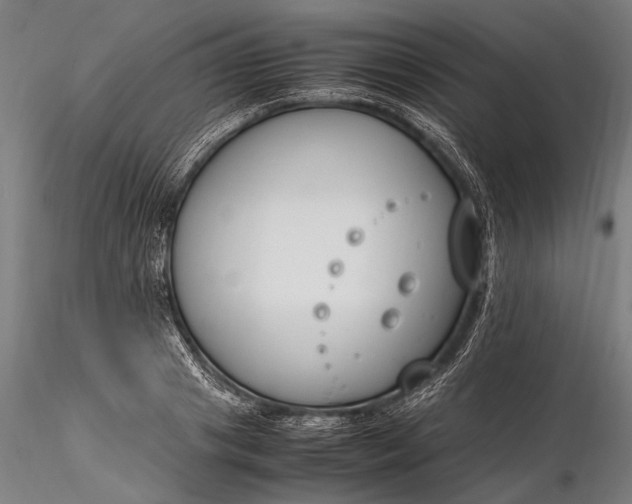 X0000116290841200912141310