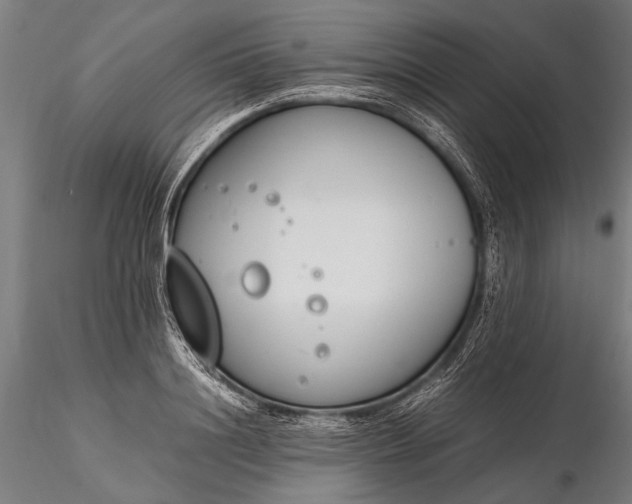 X0000116290844200912141310