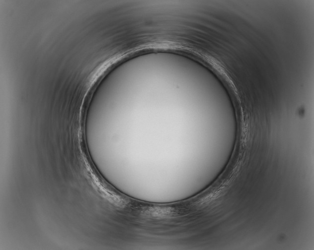 X0000116290845200912141310