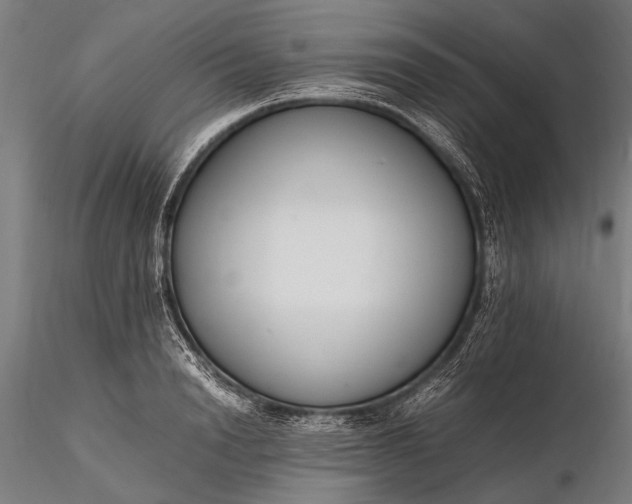 X0000116290846200912141310